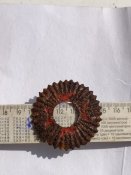 IMG_20220902_134905.jpg