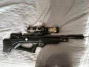 IMG_20220906_122941_127.jpg