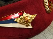 Берет росгвардії свинособачий