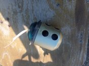 IMG_20220909_100934.jpg
