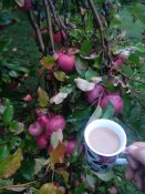 IMG_20220911_072926.jpg