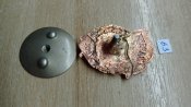 Гвардия боевая. Гвардии 63