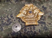 Нагрудний знак Чорний берет свинособачий