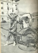 ZA1.jpg