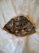 IMG_20220913_164943.jpg
