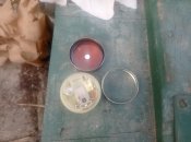 IMG_20220917_164802.jpg