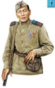 Погоны тувинского кавалериста в ркка , обр. 1943 г