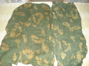 DSC08148.JPG