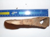 SDC13547.JPG