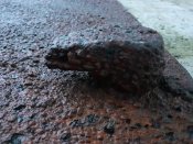 20220920_063923.jpg