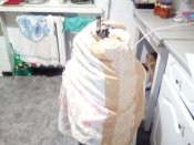 зображення_viber_2022-09-20_22-56-39-199.jpg