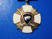 Рашистська  медаль відзнака внутрішніх військ раши.