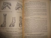 Группа самозащиты