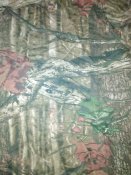 IMG_20220924_142156.jpg