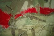 IMAG0578.jpg