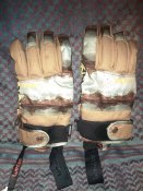 IMG_20201103_081553.jpg