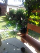 IMG_20220924_134451.jpg