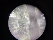 немецкий бинокль ПМВ 8х26