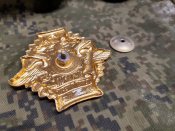 Нагрудний знак Чорний берет свинособачий