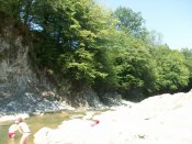100_2484.jpg