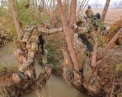 Штани MTP Warm weather - 75/84/100  - заміри в описанні