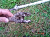 DSC00786.JPG