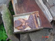DSC00777.JPG