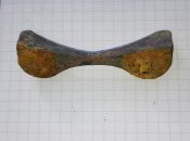 20220930_104915.jpg