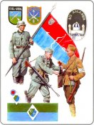 _Восточные легионы и казачьи части в вермахте (1).jpg