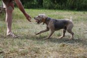 IMG_1231.JPG
