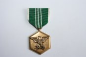Медаль «За похвальную службу» в Армии США.