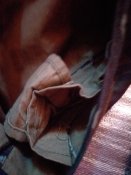 20221005_130956.jpg