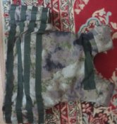 Плитоноска великого розміру