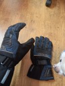 20220121_124109.jpg