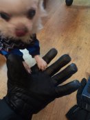 20220121_124207.jpg