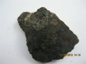 IMG_7582.jpg