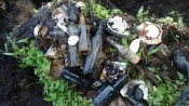 DSC01732.JPG