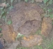 Люк на 5 болтов, Пантера