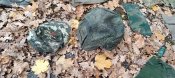Речі свинособак з позицій під Ізюмом