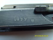 SNV32957.JPG