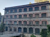 IMG_20221012_160819.jpg