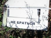 крыло.