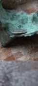 20221023_102151.jpg