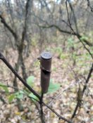 IMG_20221023_182952.jpg