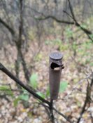 IMG_20221023_182912.jpg