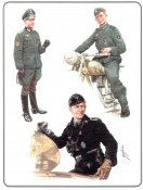 German Army Elite Units (3).jpg