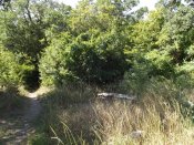 DSCF3575.jpg