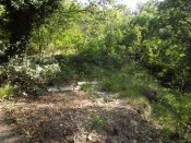 DSCF3617.jpg