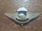 Україна ЗСУ Знак 95 окрема аеромобільна...