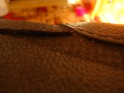 DSC01494.JPG